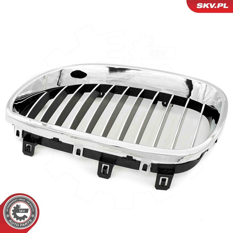 ESEN SKV, Grille de radiateur