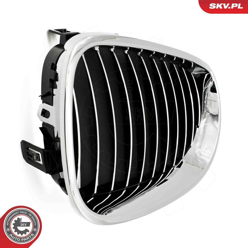 ESEN SKV, Grille de radiateur