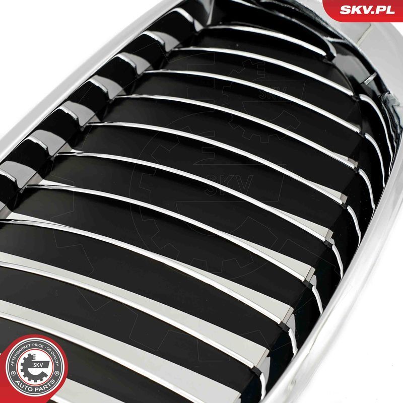 ESEN SKV, Grille de radiateur