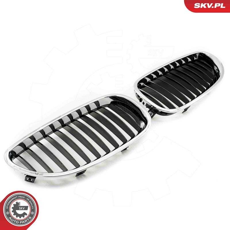 ESEN SKV, Grille de radiateur