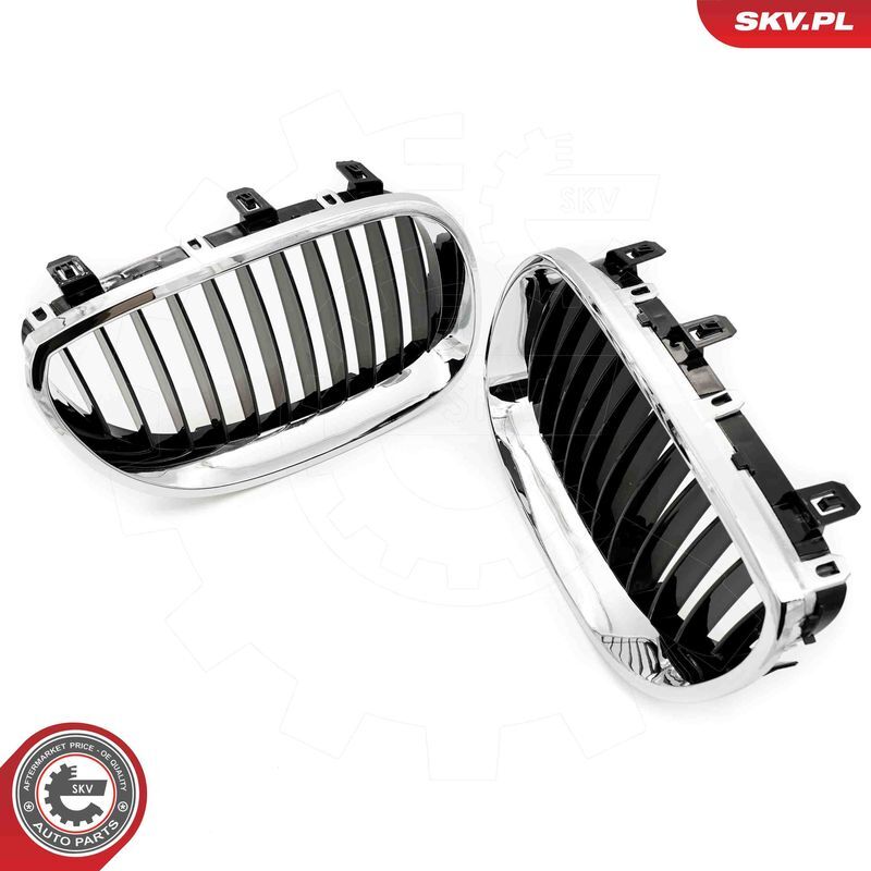 ESEN SKV, Grille de radiateur