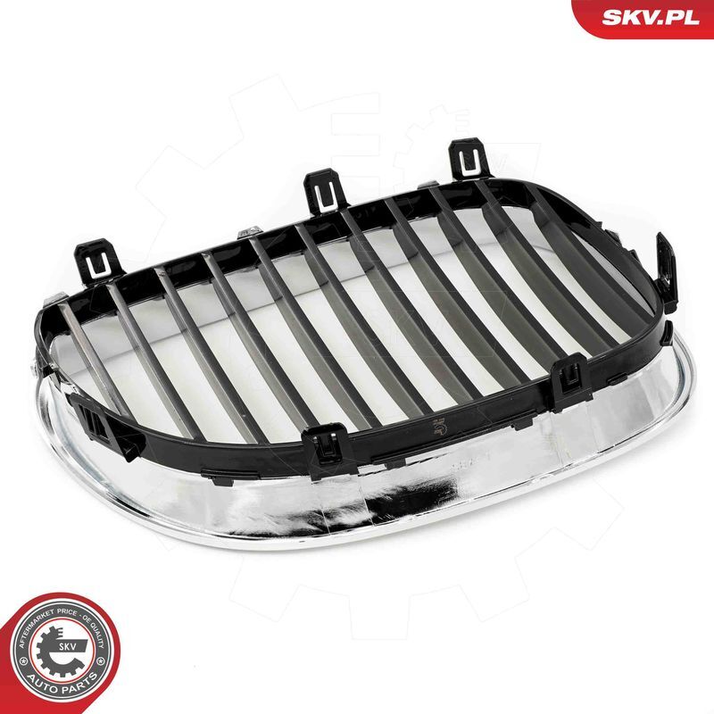 ESEN SKV, Grille de radiateur