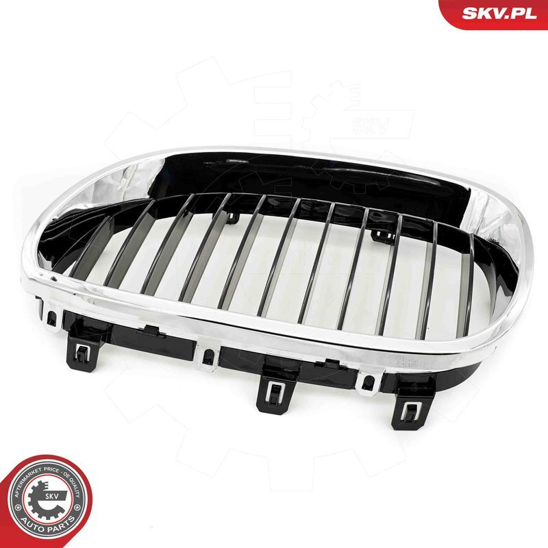 ESEN SKV, Grille de radiateur