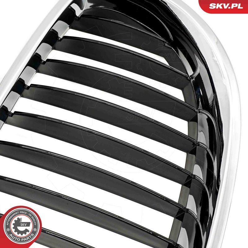 ESEN SKV, Grille de radiateur