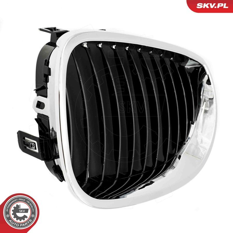 ESEN SKV, Grille de radiateur