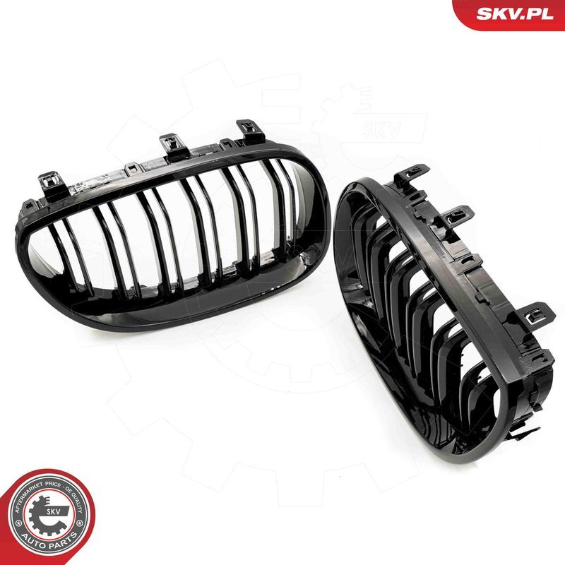 ESEN SKV, Grille de radiateur