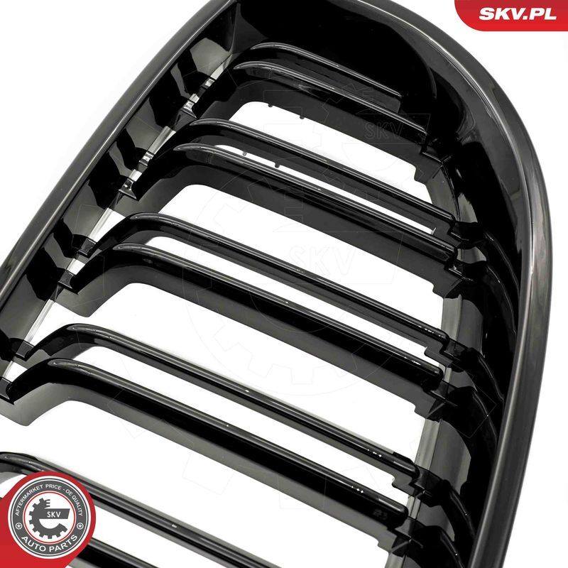 ESEN SKV, Grille de radiateur