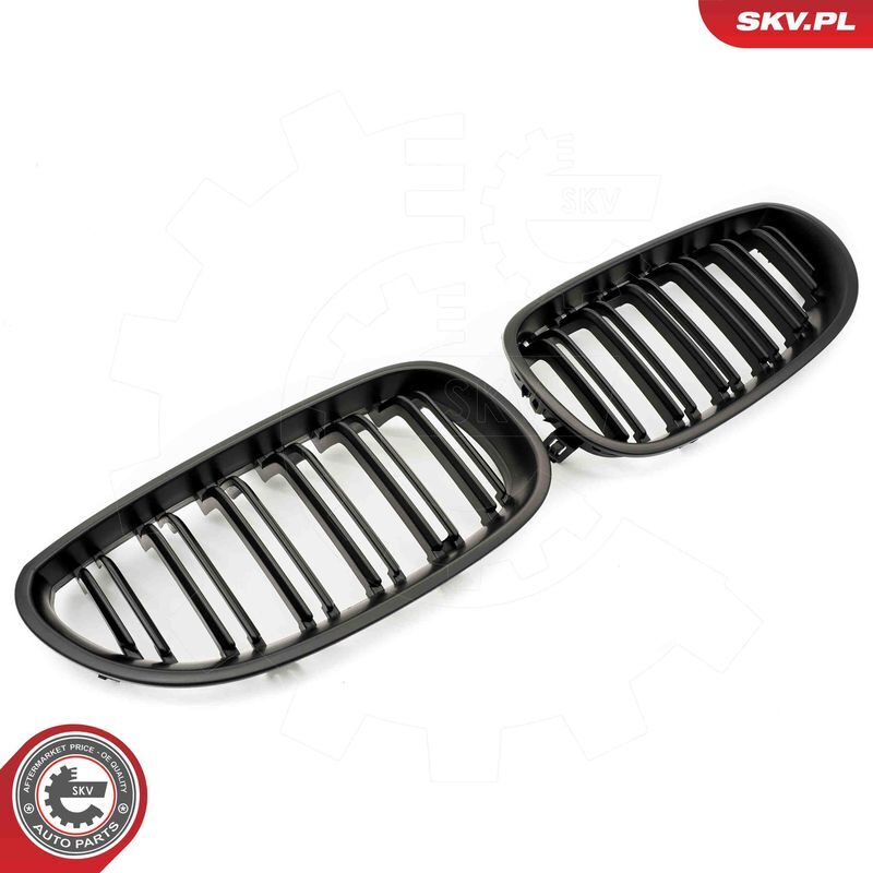 ESEN SKV, Grille de radiateur