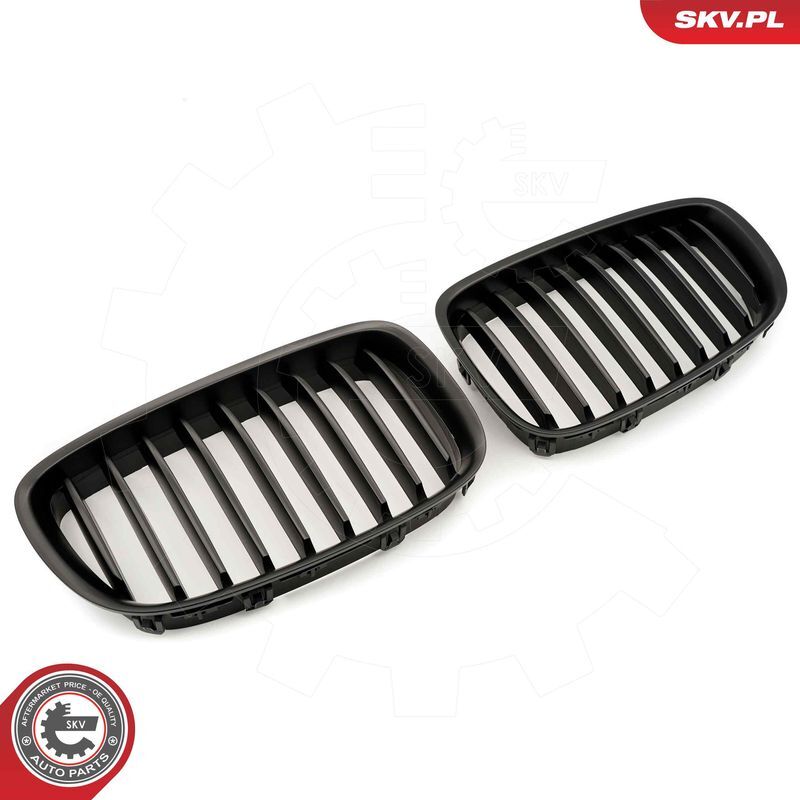 ESEN SKV, Grille de radiateur