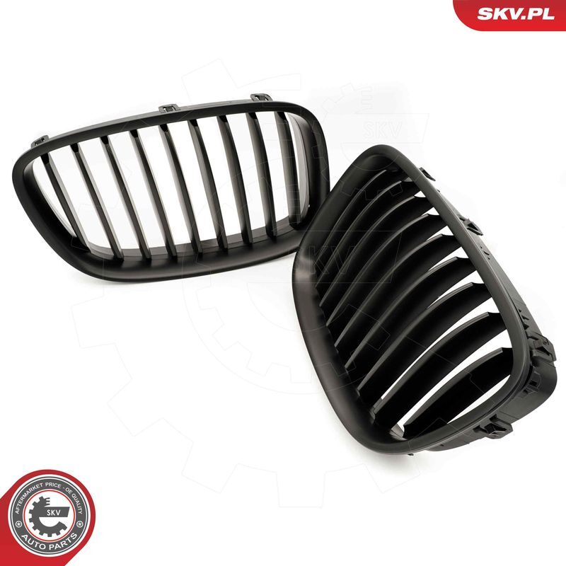 ESEN SKV, Grille de radiateur