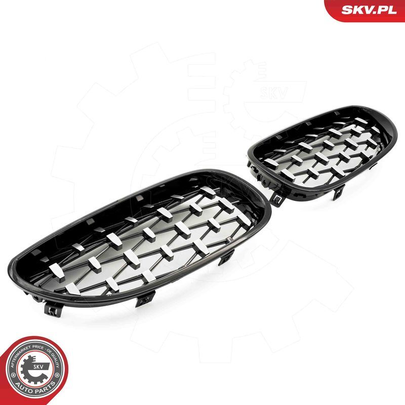 ESEN SKV, Grille de radiateur