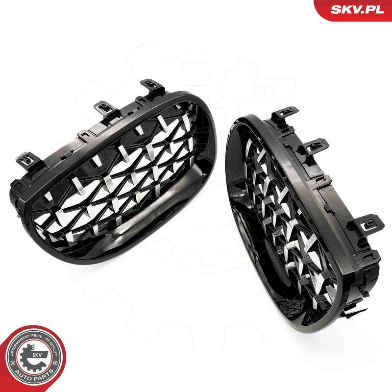 ESEN SKV, Grille de radiateur