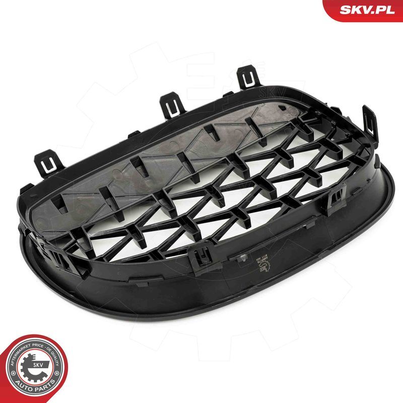 ESEN SKV, Grille de radiateur