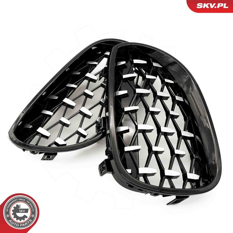 ESEN SKV, Grille de radiateur