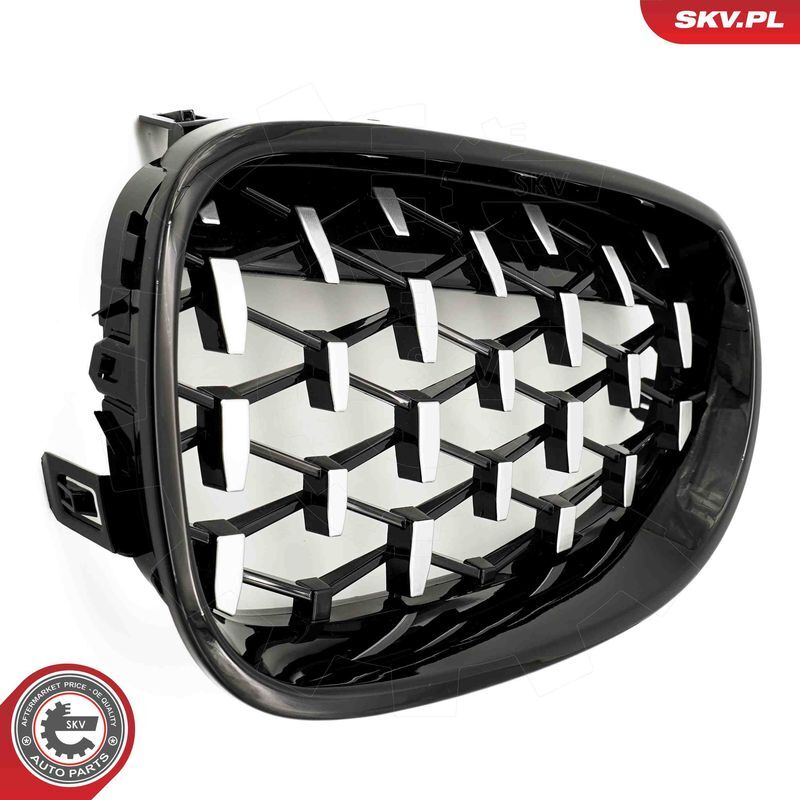 ESEN SKV, Grille de radiateur