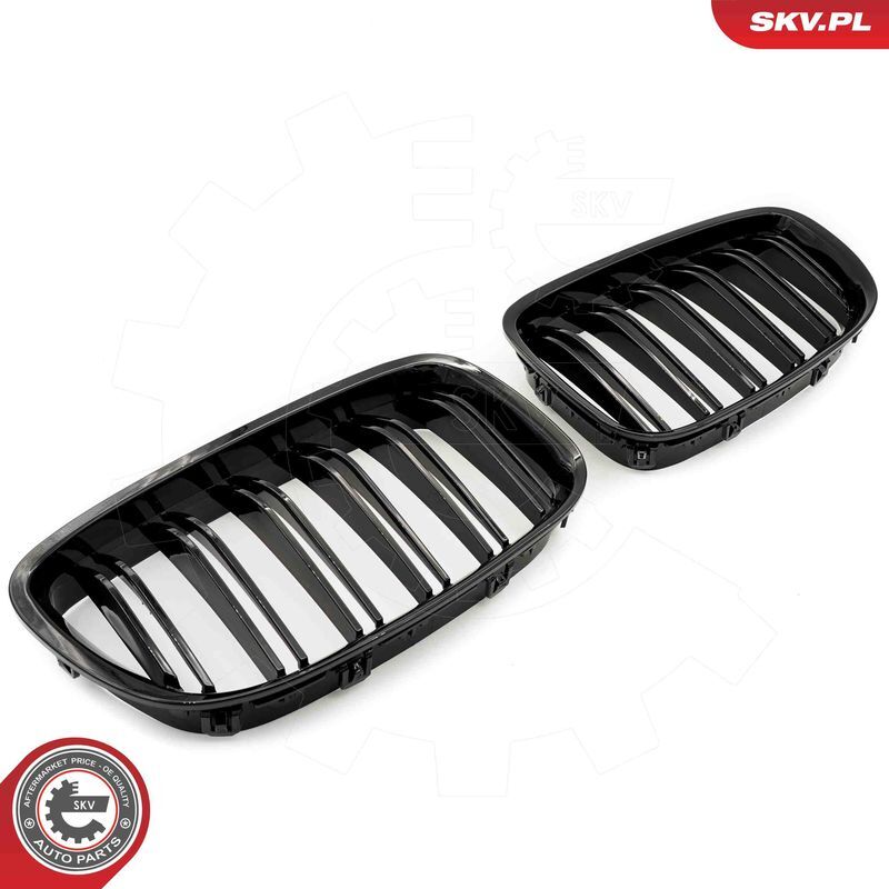 ESEN SKV, Grille de radiateur