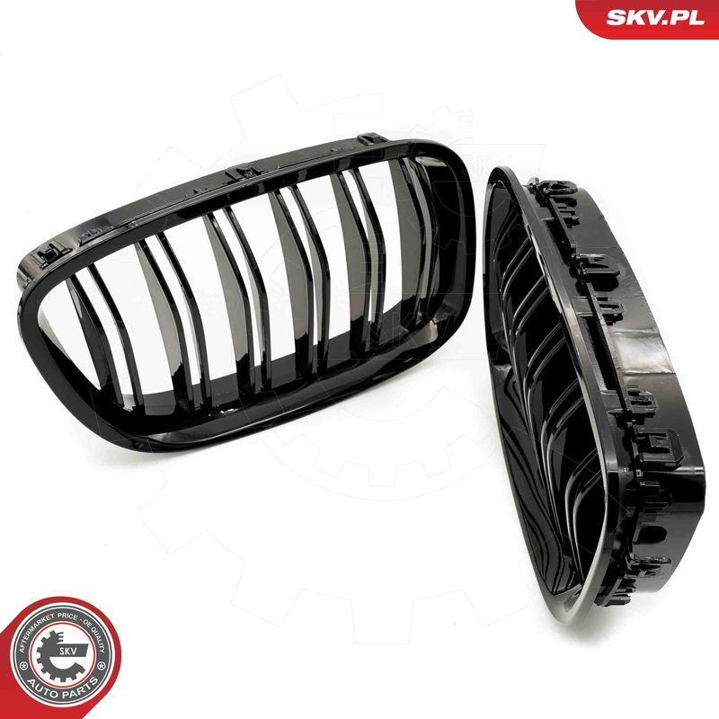 ESEN SKV, Grille de radiateur