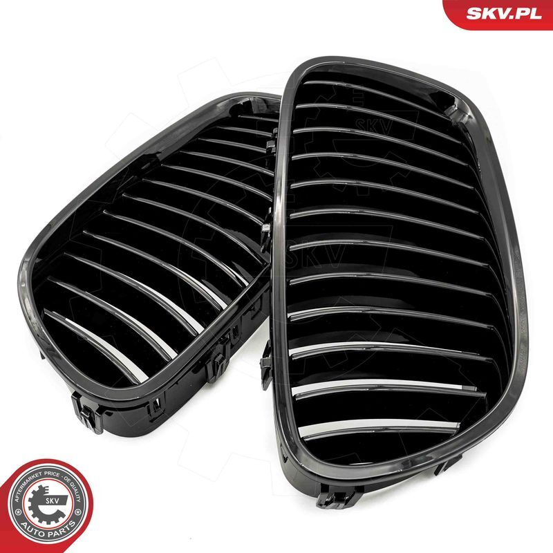 ESEN SKV, Grille de radiateur