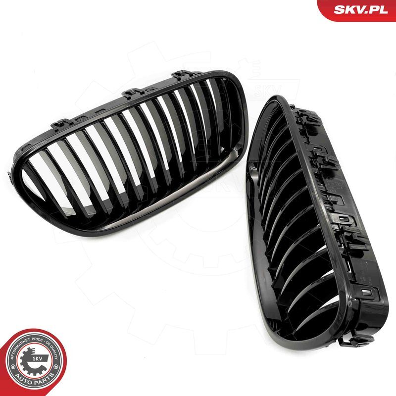 ESEN SKV, Grille de radiateur