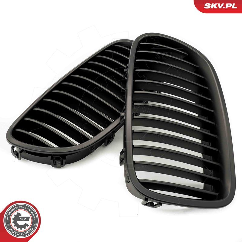 ESEN SKV, Grille de radiateur