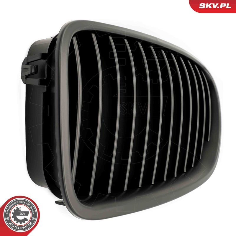 ESEN SKV, Grille de radiateur