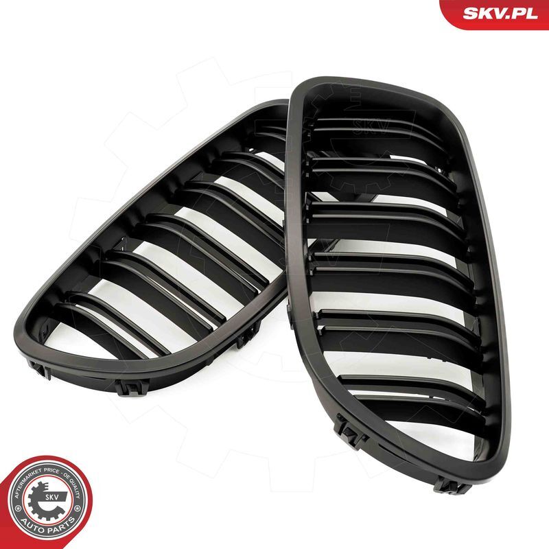 ESEN SKV, Grille de radiateur