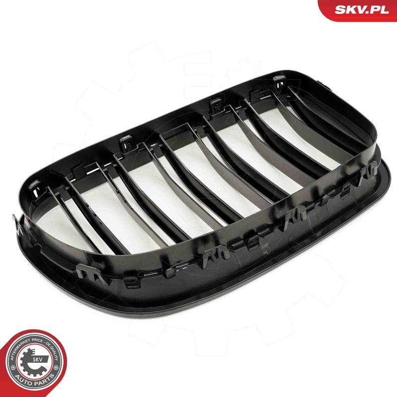 ESEN SKV, Grille de radiateur