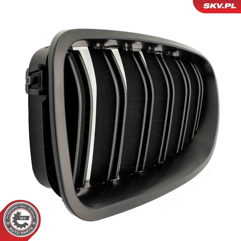 ESEN SKV, Grille de radiateur