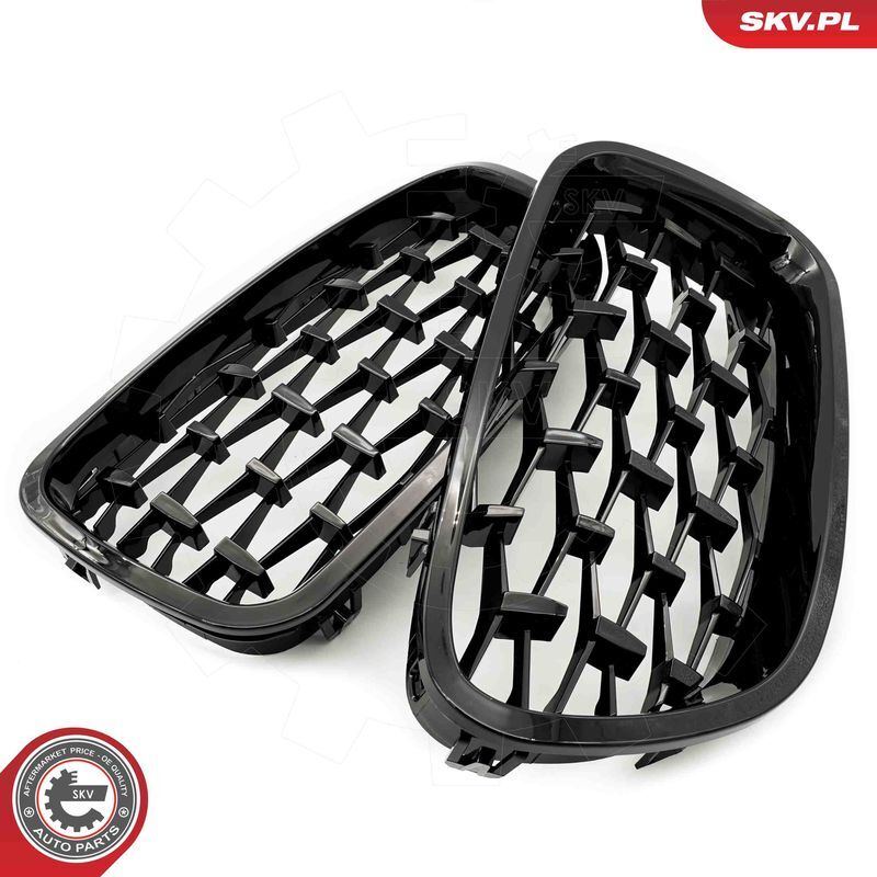 ESEN SKV, Grille de radiateur