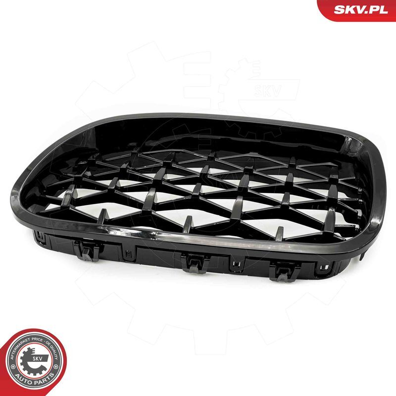 ESEN SKV, Grille de radiateur