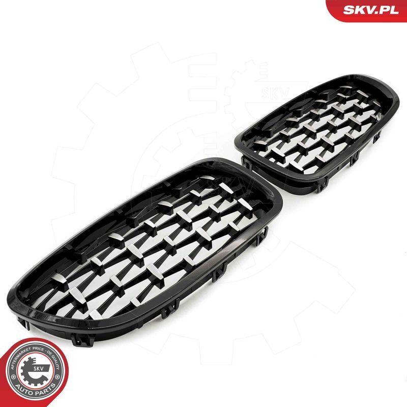 ESEN SKV, Grille de radiateur