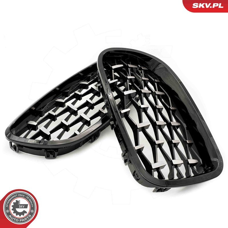 ESEN SKV, Grille de radiateur