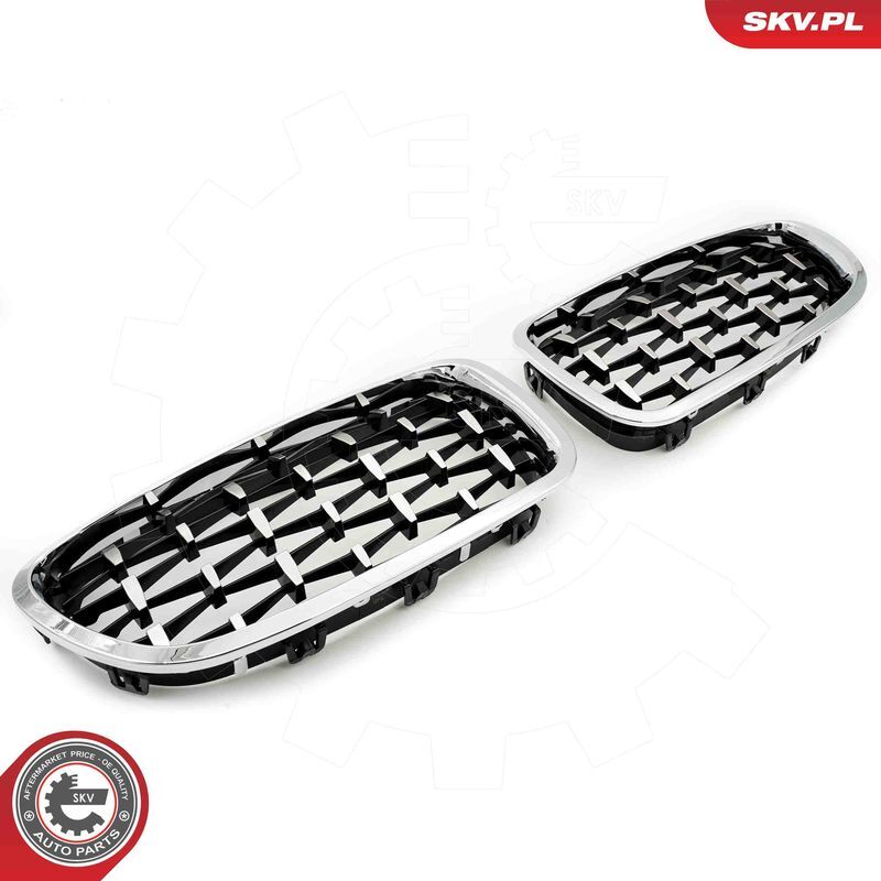 ESEN SKV, Grille de radiateur