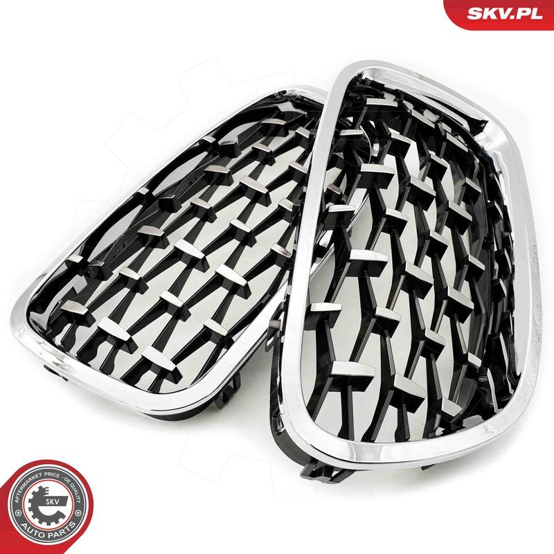 ESEN SKV, Grille de radiateur