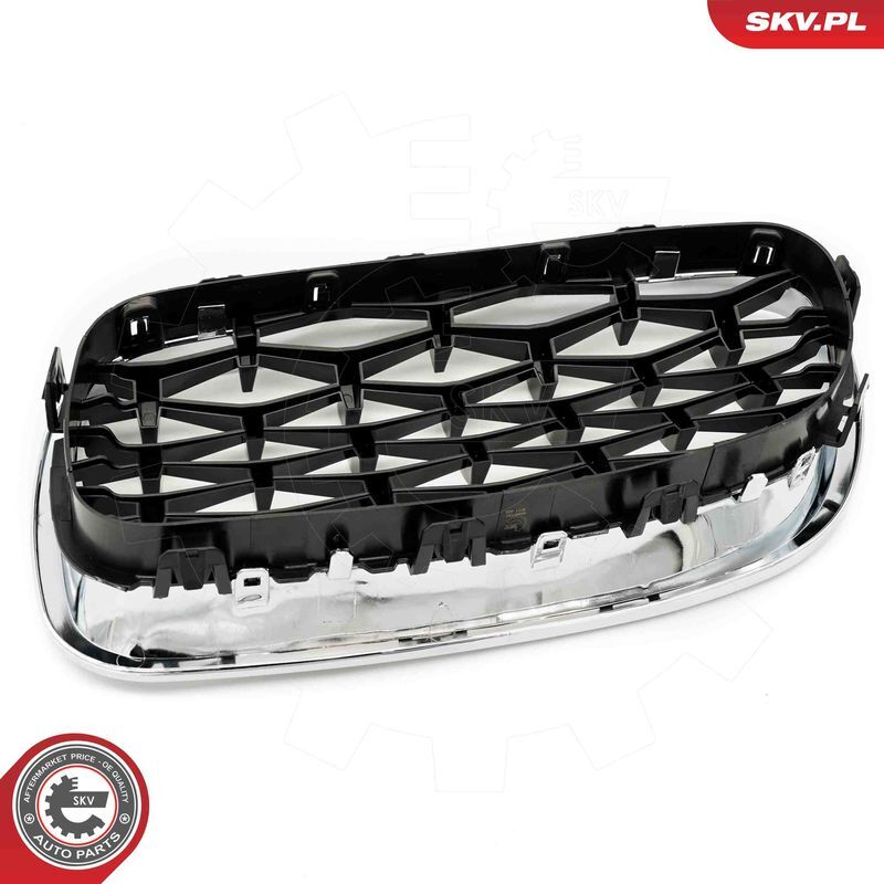 ESEN SKV, Grille de radiateur