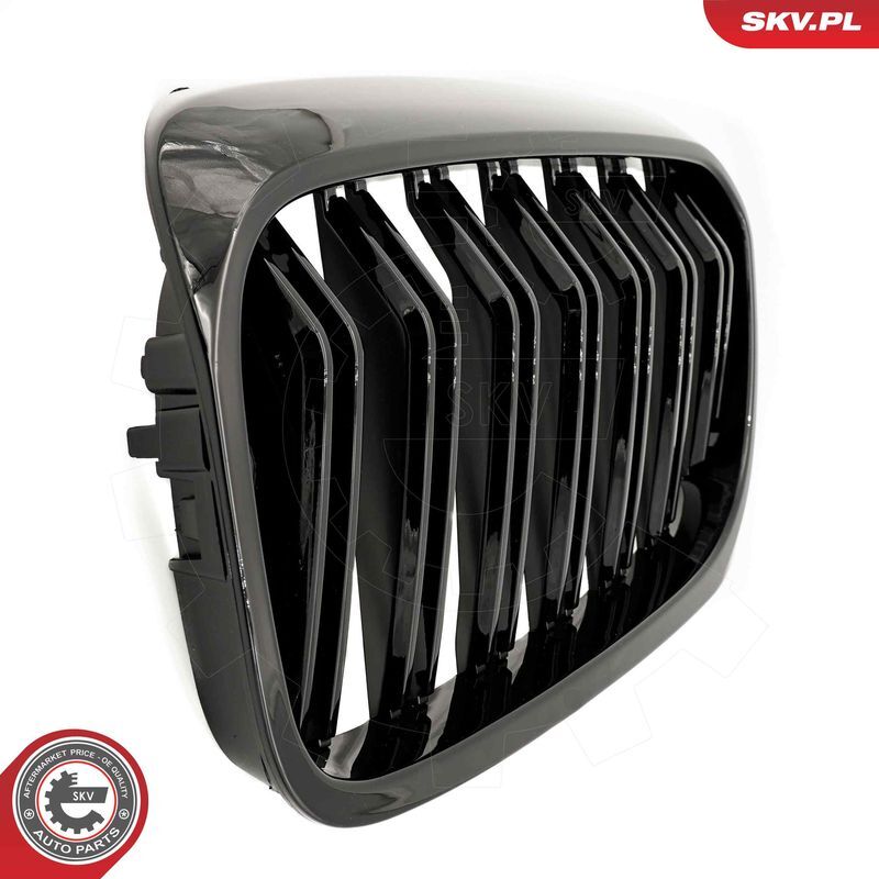 ESEN SKV, Grille de radiateur