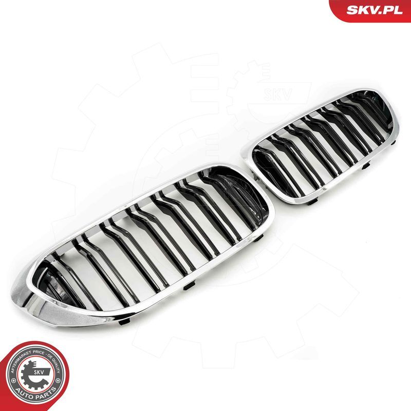 ESEN SKV, Grille de radiateur