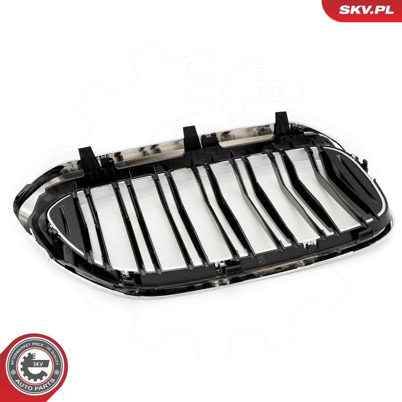 ESEN SKV, Grille de radiateur