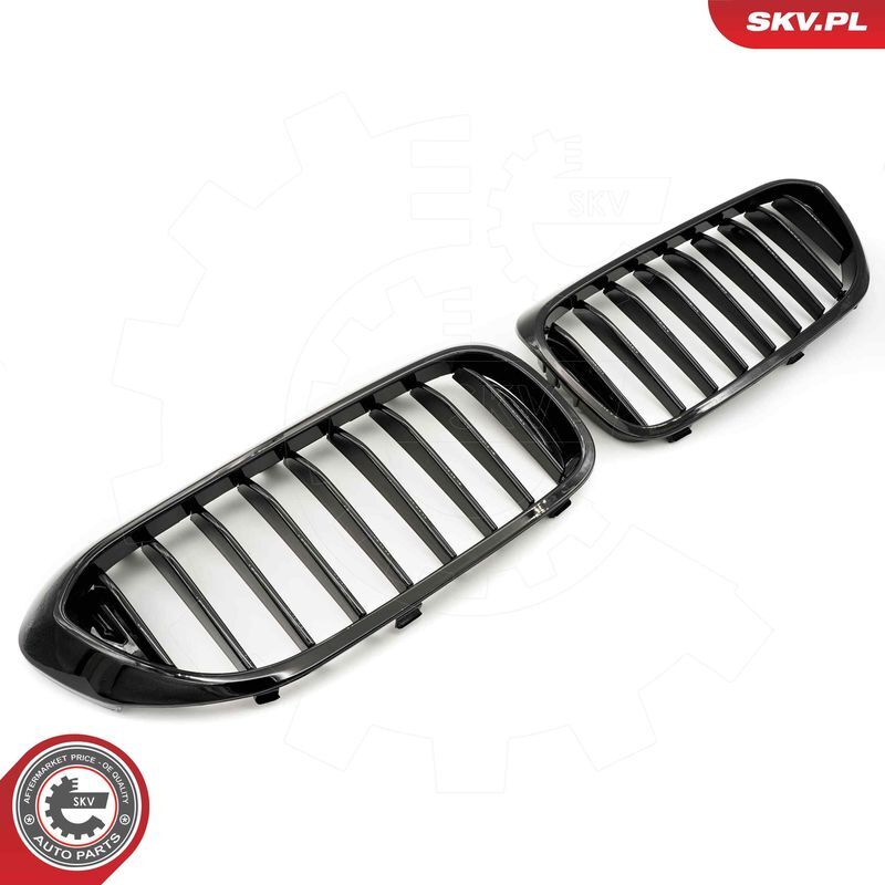 ESEN SKV, Grille de radiateur