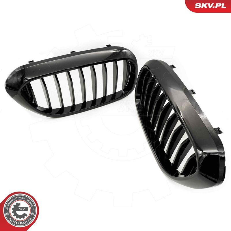 ESEN SKV, Grille de radiateur