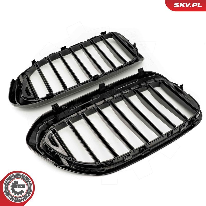 ESEN SKV, Grille de radiateur