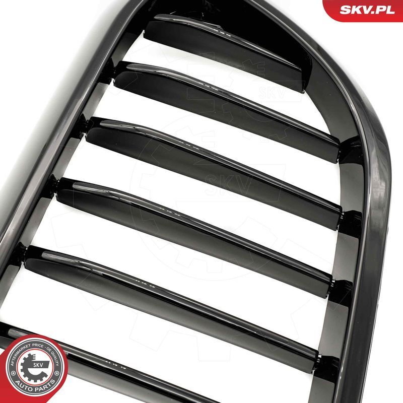 ESEN SKV, Grille de radiateur