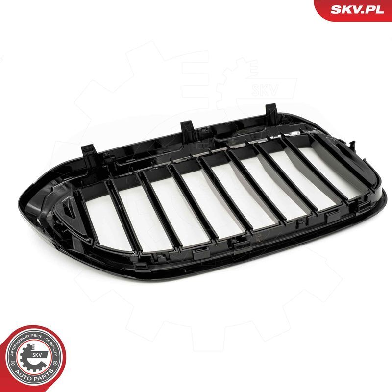 ESEN SKV, Grille de radiateur