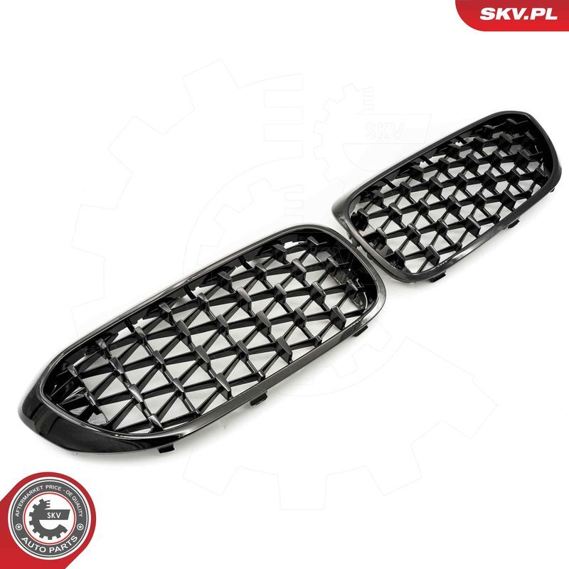 ESEN SKV, Grille de radiateur