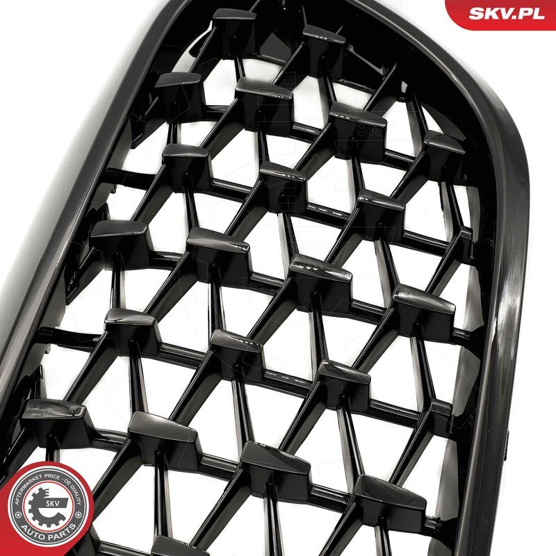 ESEN SKV, Grille de radiateur