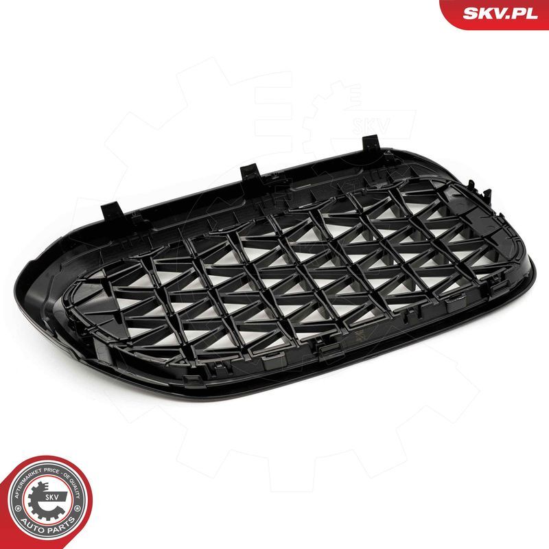 ESEN SKV, Grille de radiateur