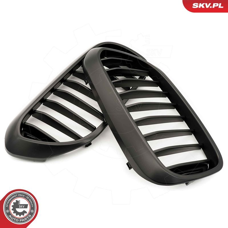 ESEN SKV, Grille de radiateur