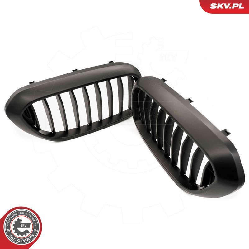 ESEN SKV, Grille de radiateur