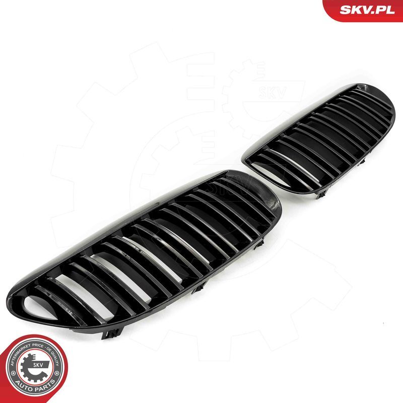 ESEN SKV, Grille de radiateur