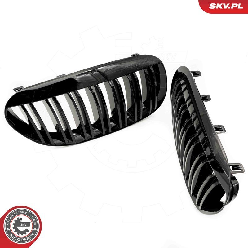 ESEN SKV, Grille de radiateur